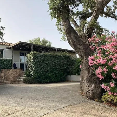 Holiday home Maison A 2min A Pied Du Centre De Vecchio