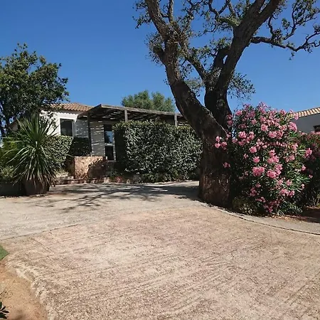 Maison à 2min à Pied Du Centre De Vecchio